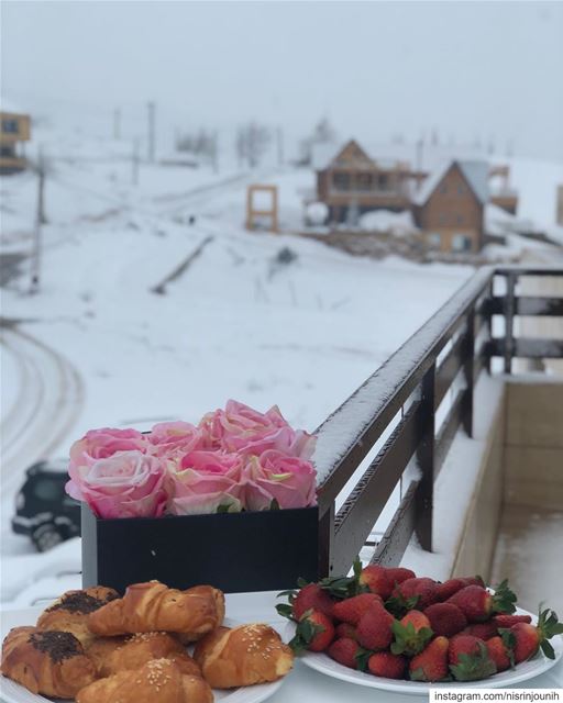  morning  lebanon  snowy  roses  momentsovermountains  momentslikethese ... (The Ridge - Laklouk)