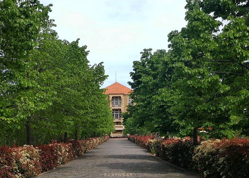 **************************************** Morning libanon sawfar house... (Sawfar, Mont-Liban, Lebanon)