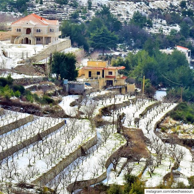 Morning ❄❄❄.......... LiveLoveBcharri  بشري   bcharre  bcharri ... (Bcharré, Liban-Nord, Lebanon)