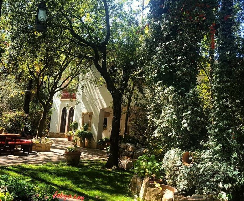  morning nature naturelovers trees garden lebanonhouses instacool relax... (Bikfaïya, Mont-Liban, Lebanon)