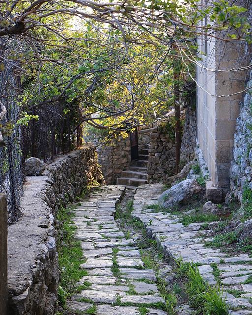 Morning.... old oldplaces oldhouses vintage heritage nature... (Dayr Al Qamar, Mont-Liban, Lebanon)