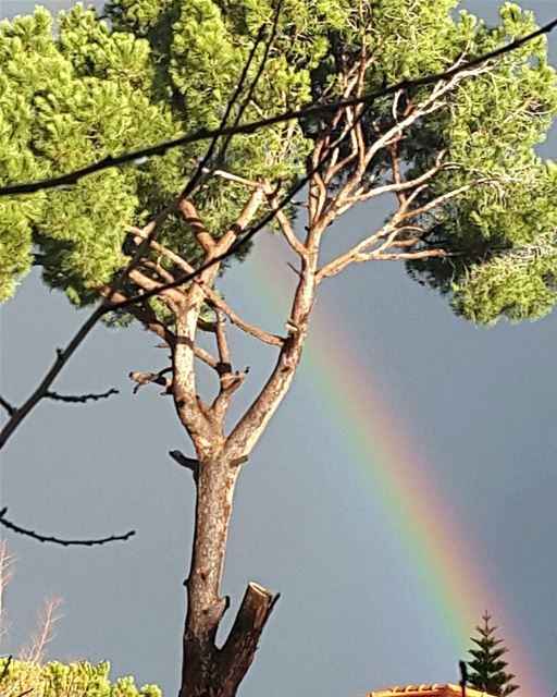  morning  rainbow  colors  lebanon  livelovelebanon  tagsforlikes ...
