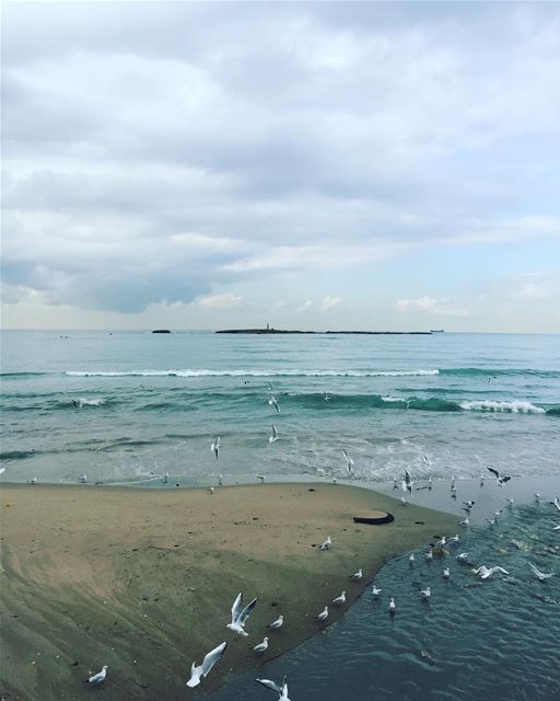  morning  Saida saidoun  NakibMarine lebanon lebanonfishing...