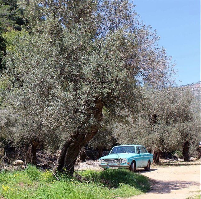  morning  springtime  peaceofmind  bluesky  oldcar  lovelyplace  joy ...