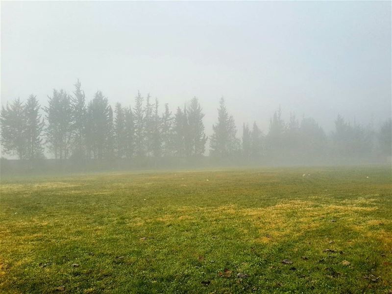 🌁 📷 🍃  morning  sunrise  morningviews  morningview  fog  foggy ... (El Khiâra, Béqaa, Lebanon)