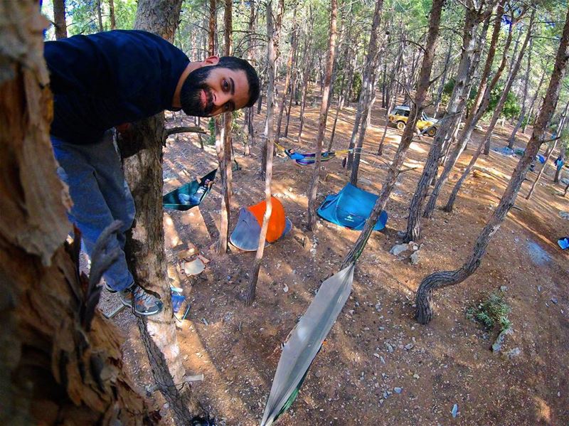 Morning Therapy 🌲⛺️🏕🇱🇧  morningview  camping  ...