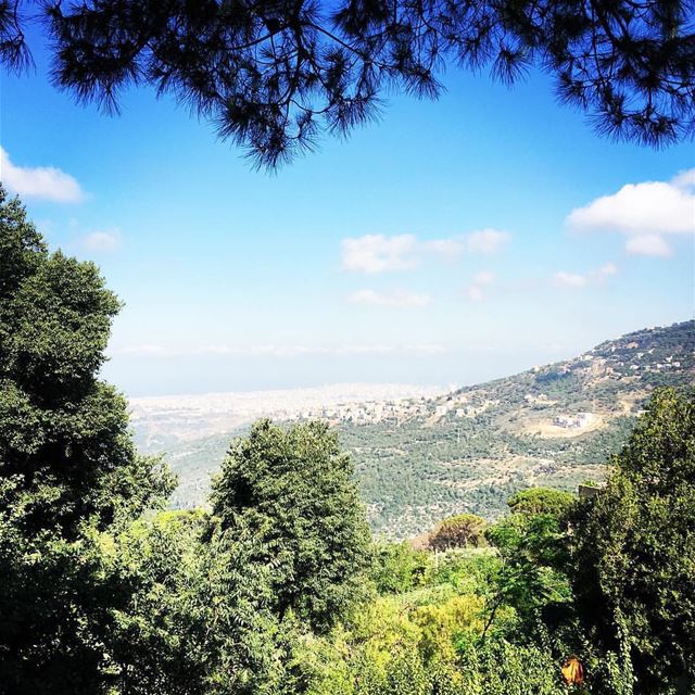  morning  view  nature  green  trees  blue  sea  sky  silence  lovely ...