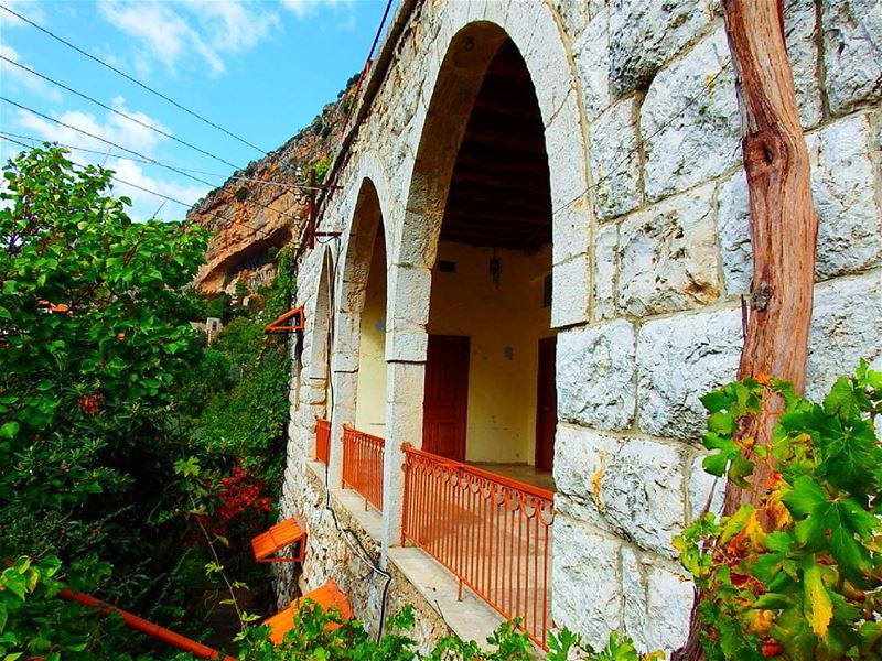  Morning  view.  tannourine  lebanon  insta_lebanon  ig_lebanon ... (Tannourine El Tahta)