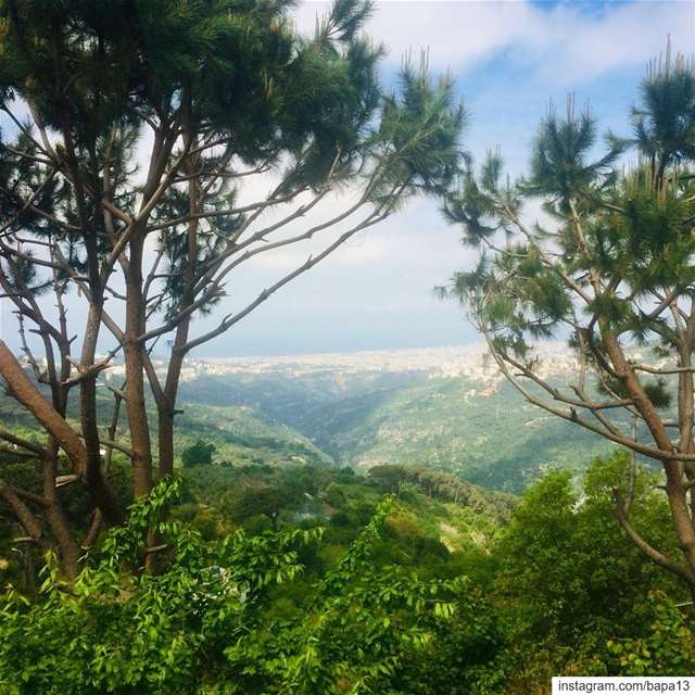  morning view  village  hometown  mountain  valley  river  green  forest ... (El Aabadiyé, Mont-Liban, Lebanon)