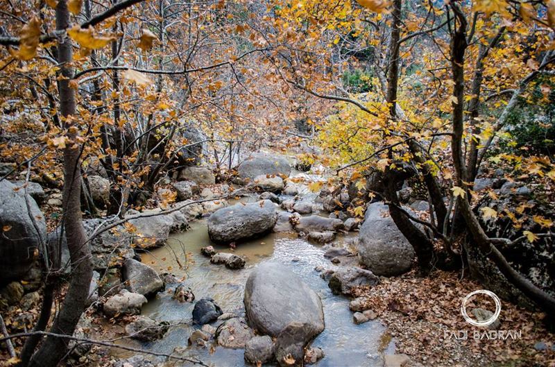 Morning walk....... travelawesome  exploretheglobe   worlderlust ... (Baskinta, Lebanon)