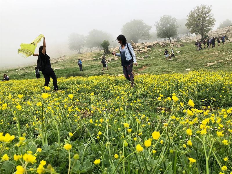   morningglory  springbreak  joy peaceofmind ... (Jezzîne, Al Janub, Lebanon)