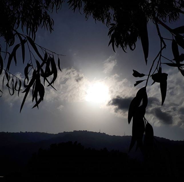 Mornings are a second chance. We wake up in the morning and crave sleep as...