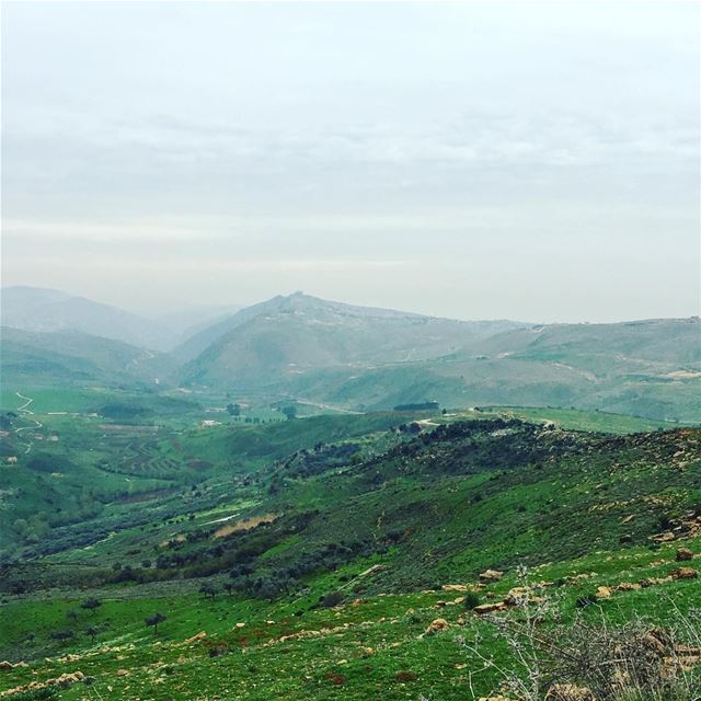 Mornings like these! beautiful_lebanon  livelovelebanon ... (Aïchiye, Al Janub, Lebanon)