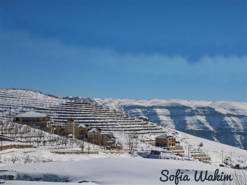Mornings like this ☕ goodmorning  snow  roomwithaview  sundayfunday ... (El Laklouk, Mont-Liban, Lebanon)