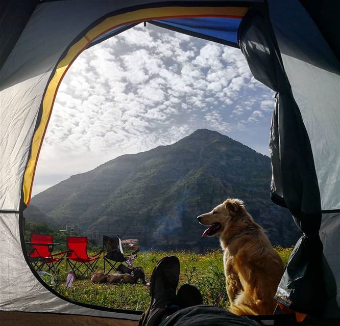  MorningsLikeThis  MyTentDoor  MyTentView  Amazing  Morning  Camping ... (Akoura, Mont-Liban, Lebanon)