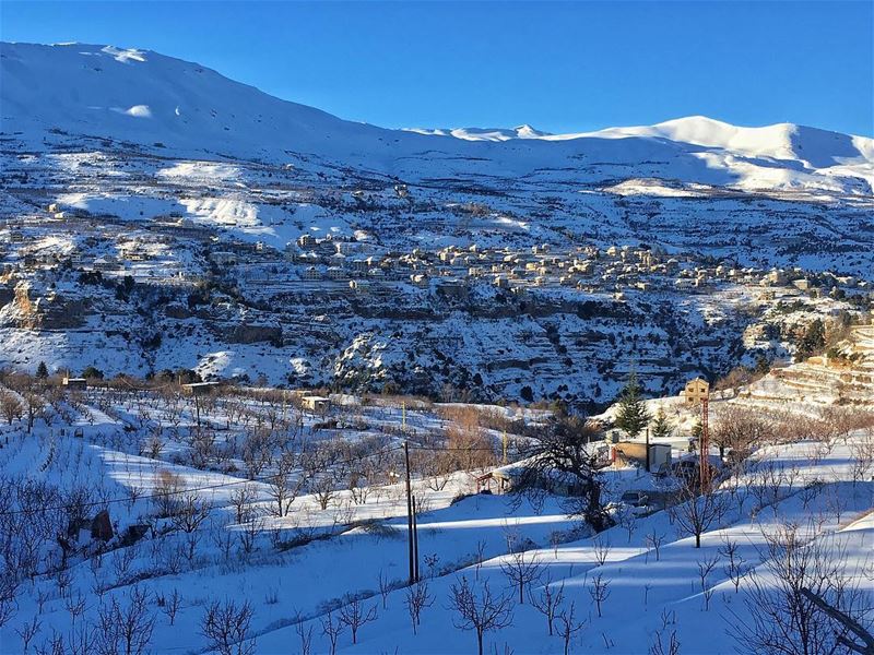  MorningSnow Sun &... (Bcharreh, Liban-Nord, Lebanon)