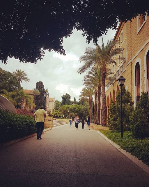 MorningSuccess is not a good teacher, failure makes you humble... (American University of Beirut (AUB))