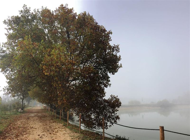  morningwalk  sundayfunday  foggy  autumn  fall   earlybird  weekendvibes ... (Deïr Taanâyel, Béqaa, Lebanon)