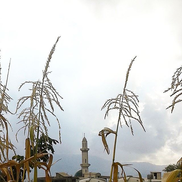 mosque sky cloud autumn nature