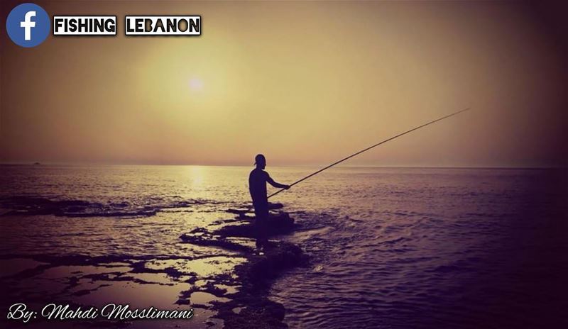 @mosslimanimahdi @fishinglebanon - @instagramfishing @jiggingworld @whatsup (Naqoura)