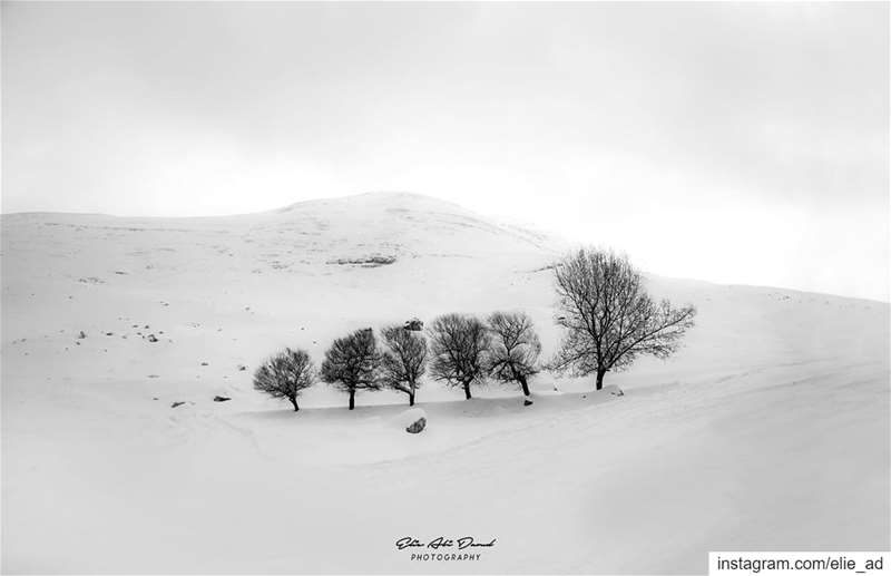 Mother and children 🌳 fighting the last tough days of winter.   winter ... (Kfardebian,Mount Lebanon,Lebanon)