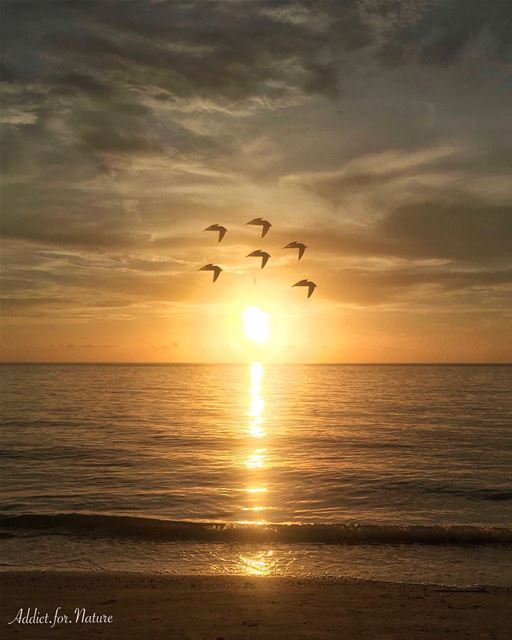 Mother nature has the power to comfort and to please one's soul....... (Clearwater Beach)