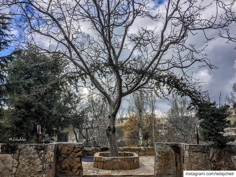  motherearth  Gaia  livelovechouf  hiking  hike  myescape  serenity ... (Baadarâne, Mont-Liban, Lebanon)