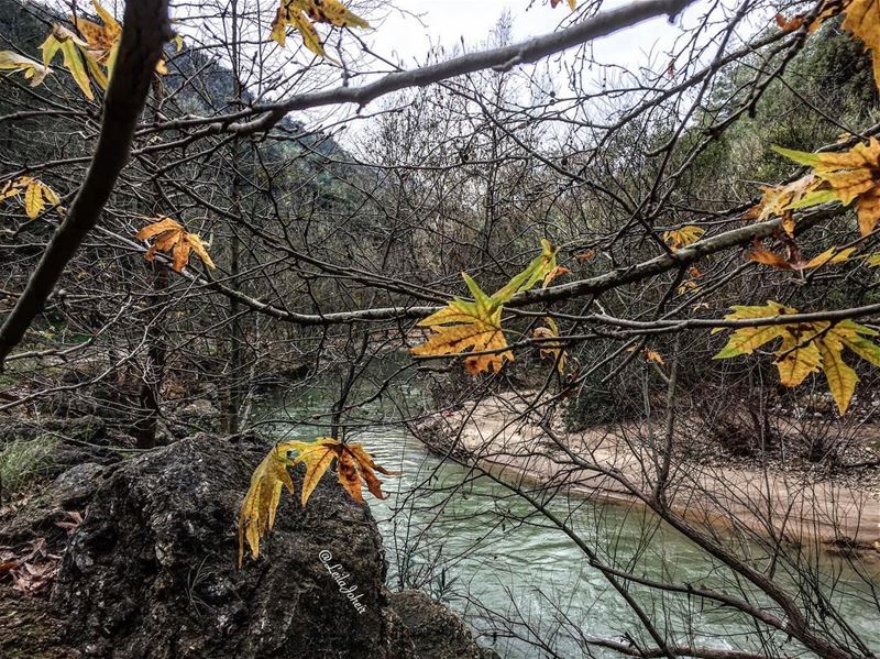  motherearth  myescape  serenity  wearelebanon  livelovelebanon ... (Somewhere in the Middle of Nowhere)