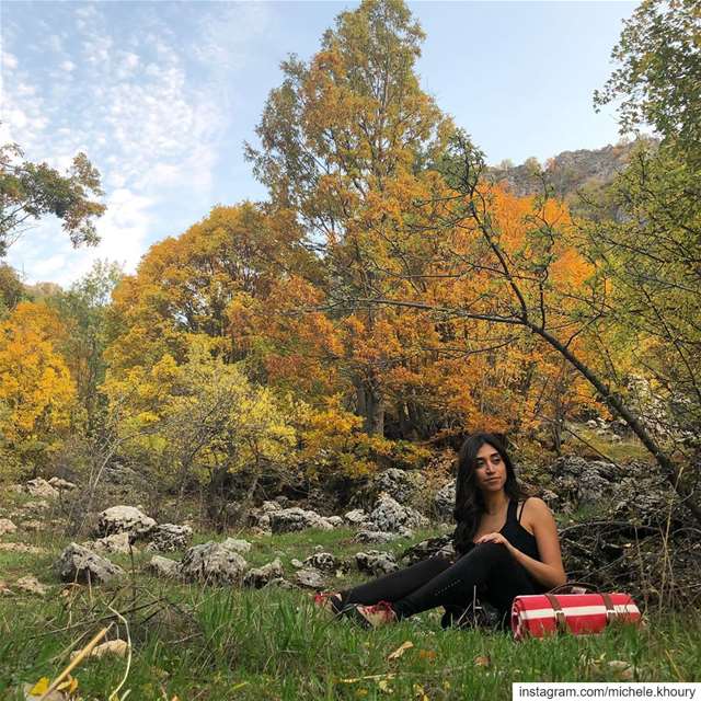 🍂  mothernature november picnic autumn hike hiking forest wildnature... (Ehmej, Mont-Liban, Lebanon)