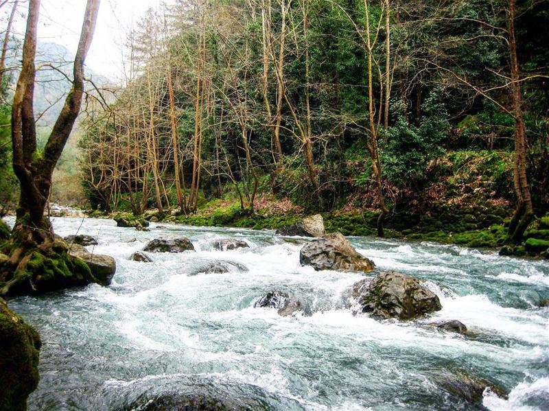  mothernature 🏞 sanelebanon 🍃...
