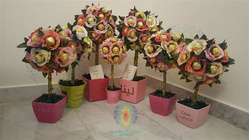  mothersday customized pots for your special mom: starting 20$ 71159985...