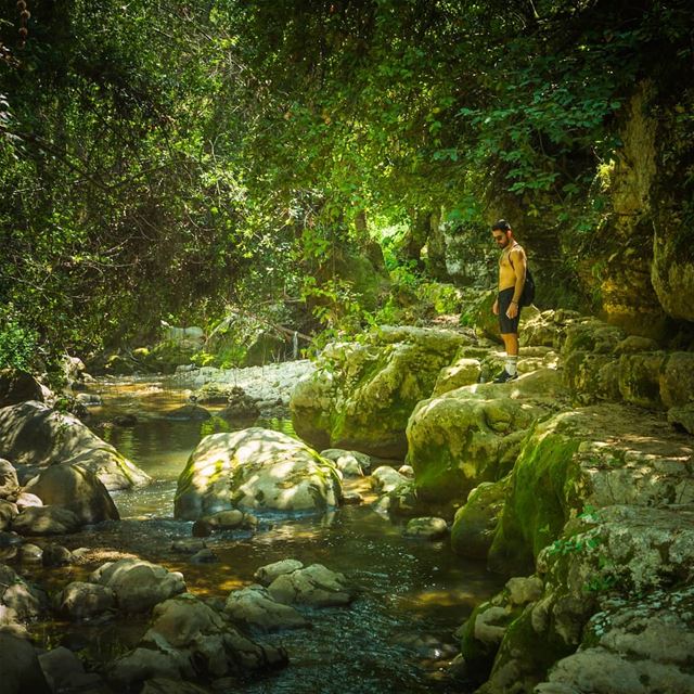Moukhtara's river trail ... (El Moukhtâra, Mont-Liban, Lebanon)