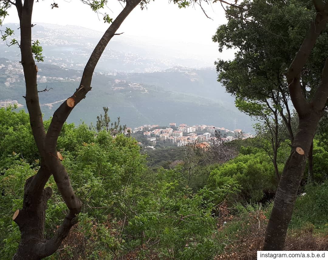 🏡Mount Lebanon🌳... beitmeri  monteverdi  liban  Lebanon  summer ...