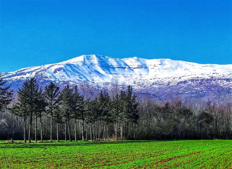 Mount Sannine as seen from the bekaa  landscape  landscapephotography ... (Taanayel- Bekaa)