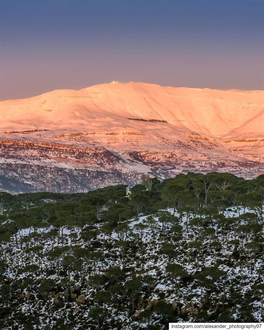 Mount Sannine at the Golden hour, showing Mzaar top peak and beautiful... (Mount Sannine)