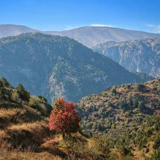 Mountain behind a mountain  akkar  whatsuplebanon  rsa_outdoors ...