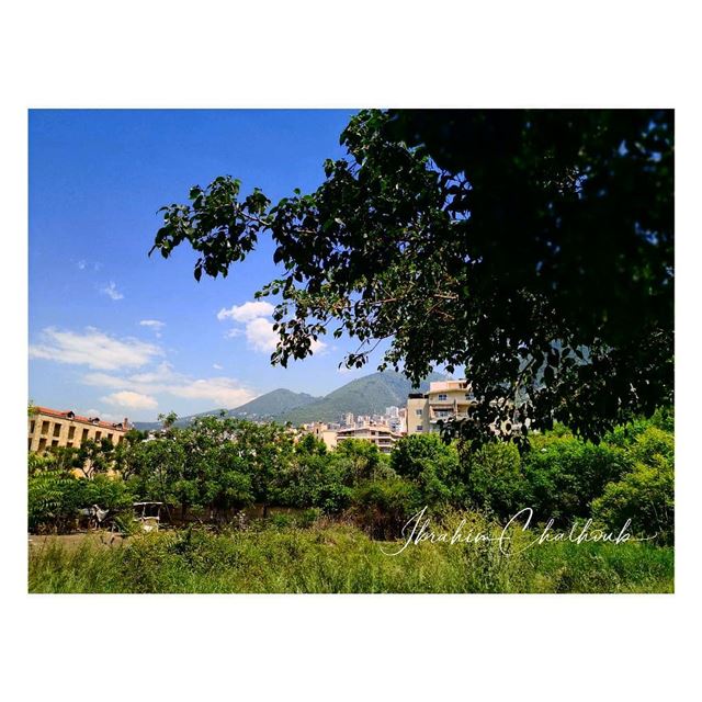 Mountain from the coast -  ichalhoub in  jounieh  Lebanon shooting with a...