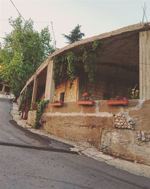 Mountain houses & Flower pots.🔽 mayrouba  flower  mountlebanon ... (Mayruba, Mont-Liban, Lebanon)