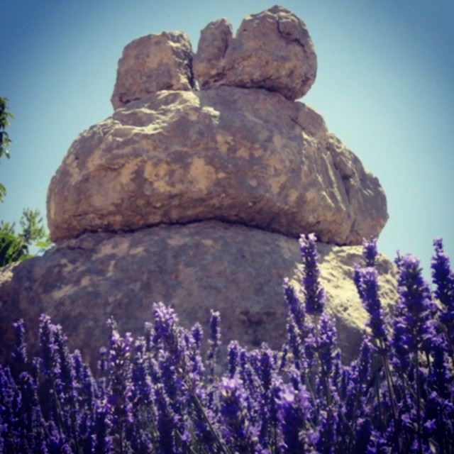 mountain lavender rock sky