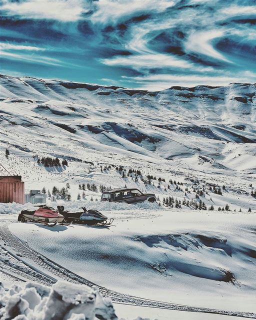 Mountain Life ⛄❄🌁By @al1ak  ElArz  Arz  Liban  Libano  LebanonRemember... (Cedars of God)