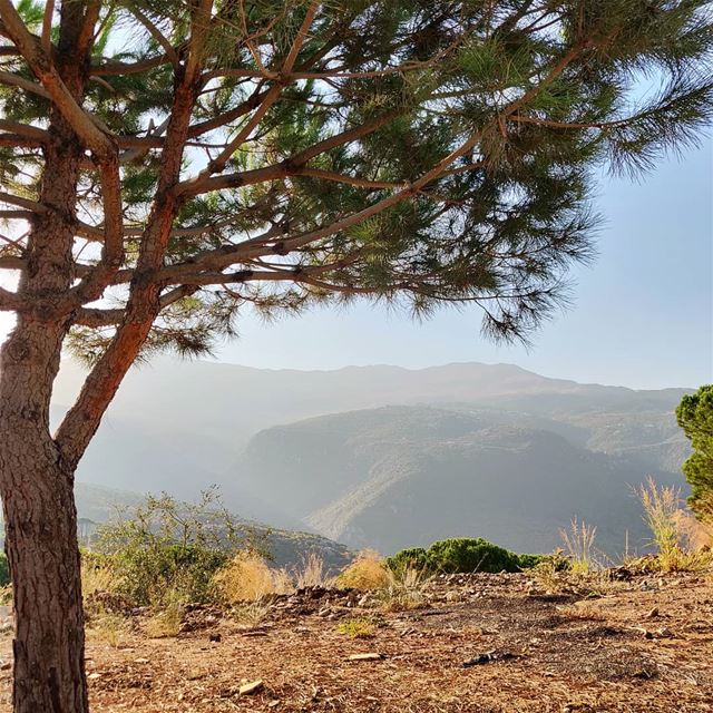 Mountain life >>> City... (El Mtaïn, Mont-Liban, Lebanon)