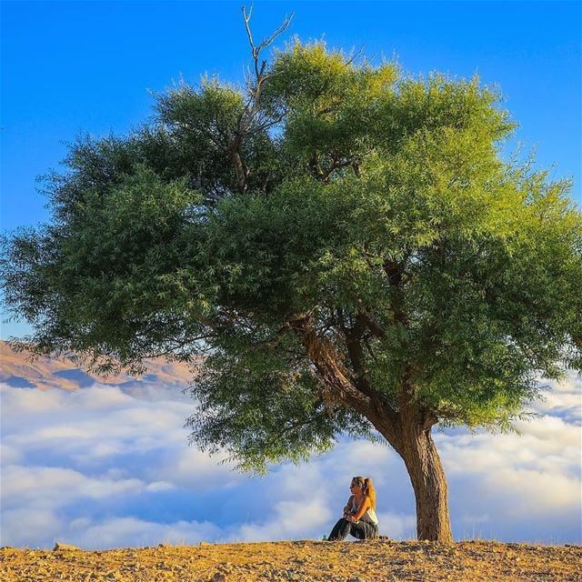 Mountain life 🗻👌 Tag us for the chance to get featured on Sundays and/or... (My Adventures Lebanon)