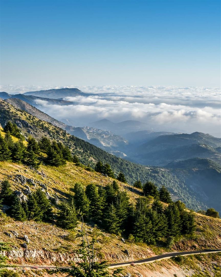 Mountains and valleys ⛰️⛰️ - Barouk Maaser El Chouf above the clouds... (Arz el Bâroûk)