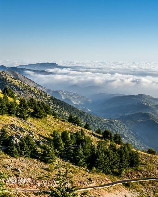 Mountains and valleys ⛰️⛰️ - Barouk Maaser El Chouf above the clouds... (Arz el Bâroûk)