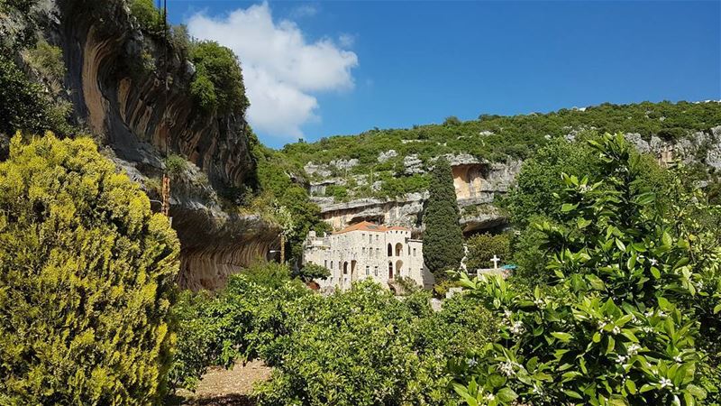 Mountains are not Stadiums where I satisfy my ambition to achieve, they... (Deir Kaftoun)