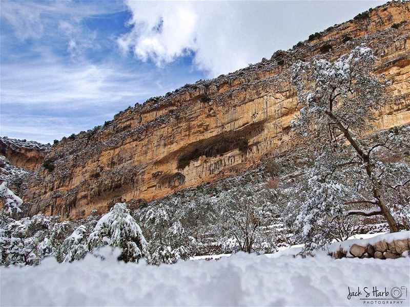Mountains are the beginning and the end of all natural scenery ❄️🏂.... (Tannourine)