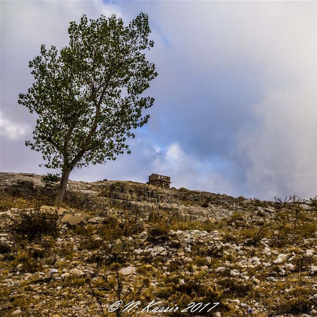 mountains  lonely  tree  sky  clouds  ig_great_shots ... (Qanat Bakish, Mont-Liban, Lebanon)