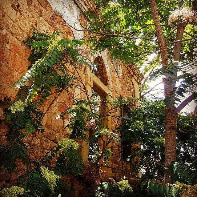  mountains  mountainclimbing  lebanon  climbing  hiking  hike ... (Baabda District)