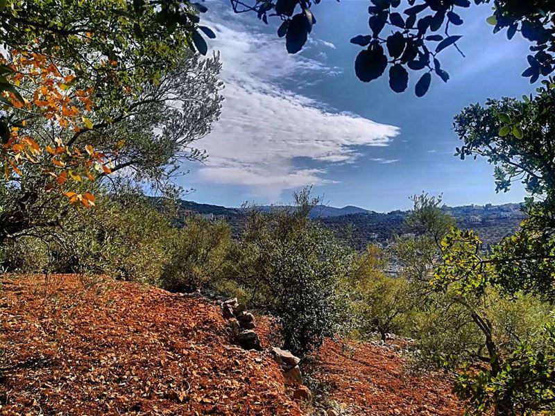  mountains  mountainview  hasbaya_pictures  hasbaya  sunnyday ... (Hasbaya)