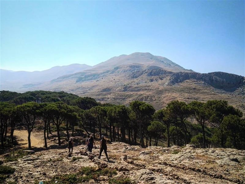  mountains  mountlebanon  lebanon  lebanese  trees  natural  nature ... (Mount Lebanon Governorate)